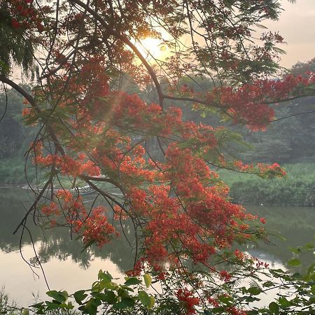 遗忘时光guesthouse Sky Dragon Guesthouse Luang Prabang Eksteriør bilde